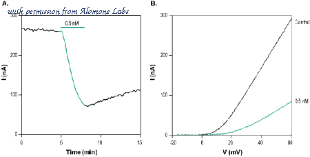 Alomone Labs ANX-005 image 2