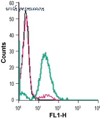 Alomone Labs AOR-011 image 3