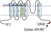 Alomone Labs APC-045 image 3