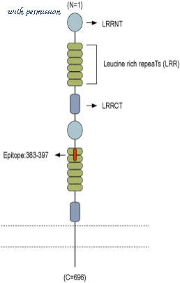 Alomone Labs APC-053 image 2