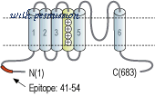 Alomone Labs APC-071 image 2
