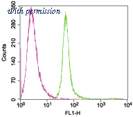 Alomone Labs APC-101-F image 1