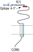 Alomone Labs APC-129 image 3
