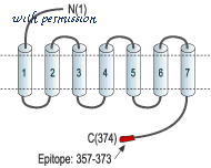 Alomone Labs APR-015 image 2