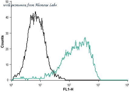 Alomone Labs APR-022 image 3