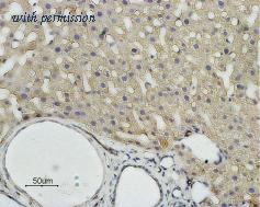 Alomone Labs AQP-009 image 2
