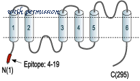 Alomone Labs AQP-009 image 3