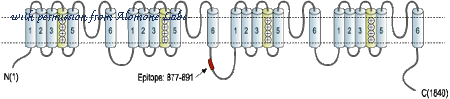 Alomone Labs ASC-020 image 2