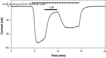 Alomone Labs ASC-020 image 3