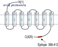 Alomone Labs AVR-011 image 2