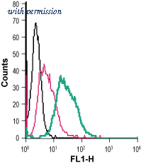Alomone Labs AMT-003-F image 1