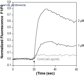 Alomone Labs A-190 image 1