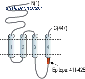Alomone Labs A-250 image 1