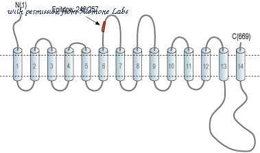 Alomone Labs A-415 image 1