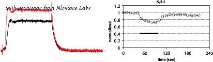 Alomone Labs B-450 image 1
