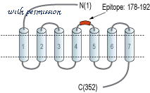 Alomone Labs B-450 image 2