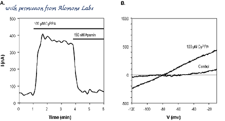 Alomone Labs C-110 image 3