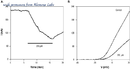 Alomone Labs C-115 image 1
