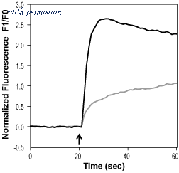 Alomone Labs C-120 image 2