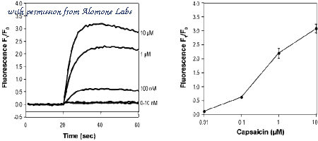 Alomone Labs C-125 image 1