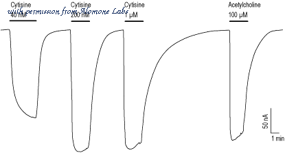 Alomone Labs C-130 image 3