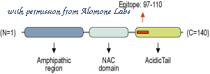 Alomone Labs C-365 image 1
