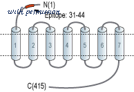 Alomone Labs C-385 image 1
