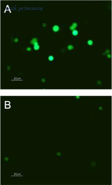 Alomone Labs C-850 image 1