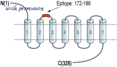 Alomone Labs C-850 image 2