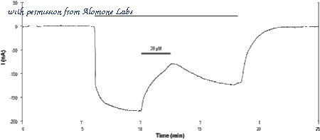 Alomone Labs E-110 image 1