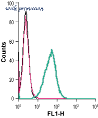 Alomone Labs E-175 image 1