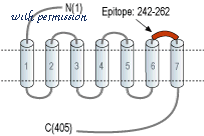 Alomone Labs F-900 image 2