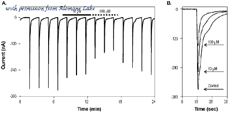Alomone Labs H-115 image 1