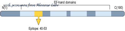 Alomone Labs I-200 image 1