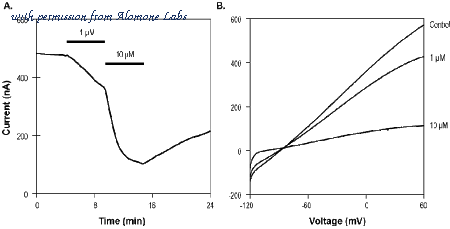 Alomone Labs K-170 image 2
