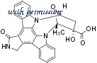 Alomone Labs K-170 image 3