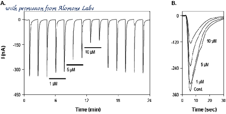 Alomone Labs L-120 image 1