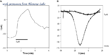 Alomone Labs L-140 image 2