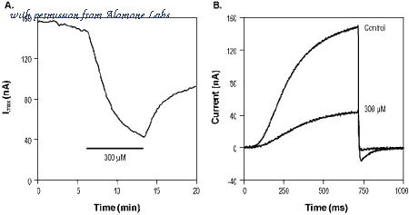 Alomone Labs L-155 image 1