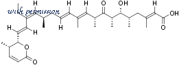 Alomone Labs L-500 image 3