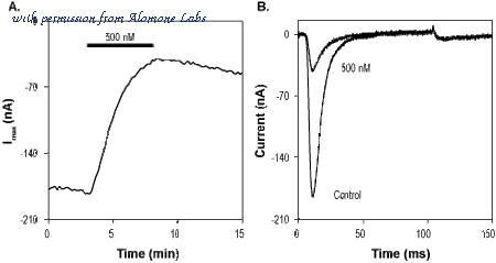 Alomone Labs O-145 image 1