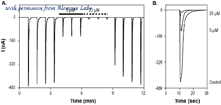 Alomone Labs R-160 image 1