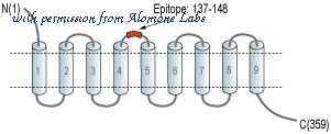 Alomone Labs R-190 image 1