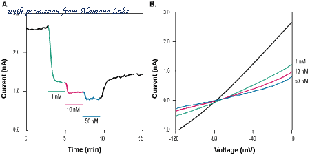 Alomone Labs STA-200-B image 1