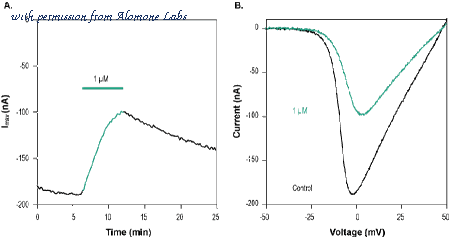 Alomone Labs STA-530 image 2