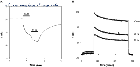 Alomone Labs STC-325 image 2