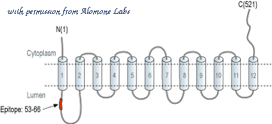 Alomone Labs STC-420 image 1