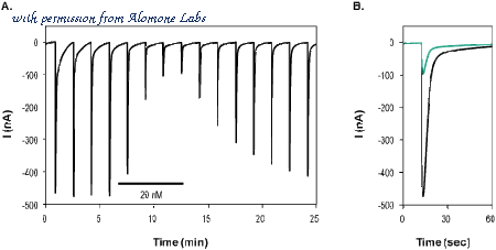 Alomone Labs STC-620 image 1