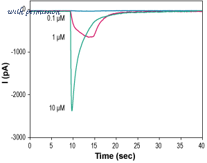 Alomone Labs STC-645 image 1