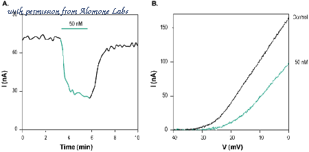 Alomone Labs STC-660 image 2